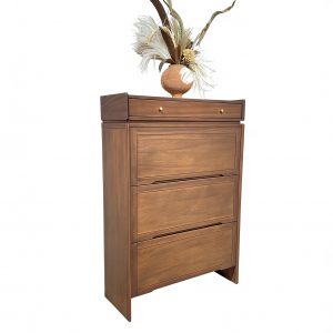 601# shoe cabinet